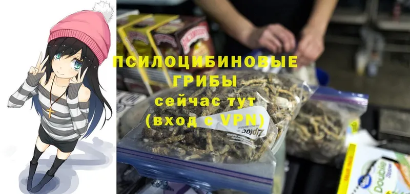 где можно купить наркотик  Стрежевой  Псилоцибиновые грибы Cubensis 